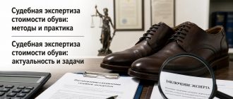 Судебная экспертиза стоимости обуви