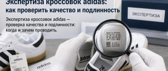 Экспертиза кроссовок adidas: как проверить качество